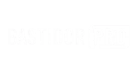 Logo Bastidor PRo